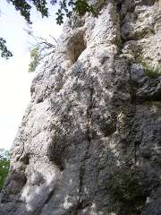 Wackerstein Edelweißquergängle