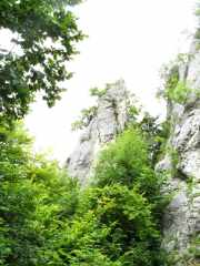 Kletterfelsen  Wielandstein Nadel