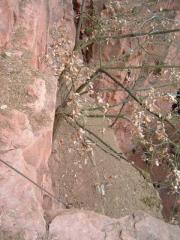 Blick auf das erste Band