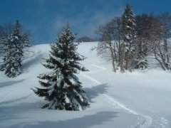 Anstieg auf den Crêt de la Neuve