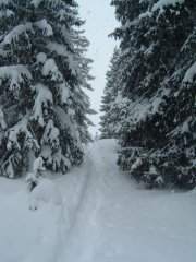 Weg Richtung Mont Tendre