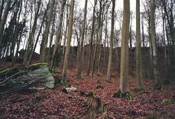 Aufstieg zum Drachenfels