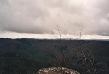 Blick Richtung Kalmit