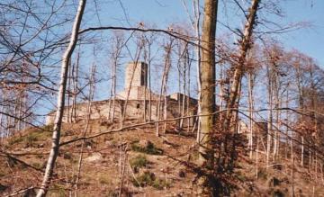 BurgRuine Gräfenstein