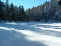 Etang des Belles Filles