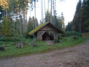 Arbre de la Liberté