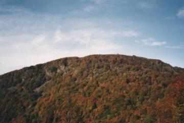 Südosthang Ballon d'Alsace