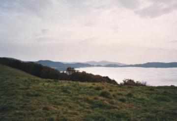 Hochnebel in den Vogesen