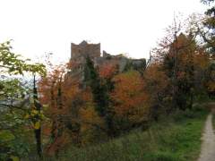 Schauenburg bei Oberkirch