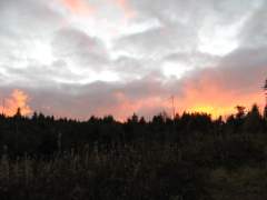 Sonnenuntergang am Schwarzwald-Kamm